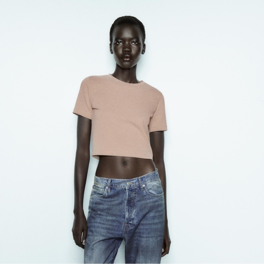 Zara Beige Crew Neck Top